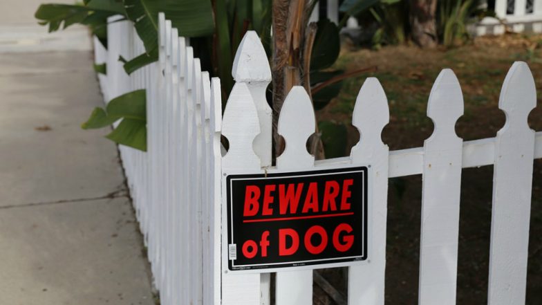 Dog Attack: Flintshire Baby Girl Mauled by Grandfather's Pet Staffordshire Bull Terrier