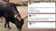 Bull Semen Explosion in Australian Farm Gives Netizens Obvious Reasons to Crack Hilarious Jokes, Funny Memes Go Viral