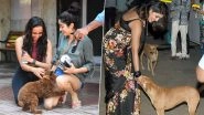 From Janhvi Kapoor to Priyanka Chopra, Is Petting a Dog The New Photo-Op Trend in Bollywood? (View Pics)