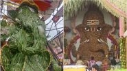 Ganesh Chaturthi 2019 Eco-Friendly Ganesh Idols: From Coconut to Aloe Vera, This Year Bappa Turns Green