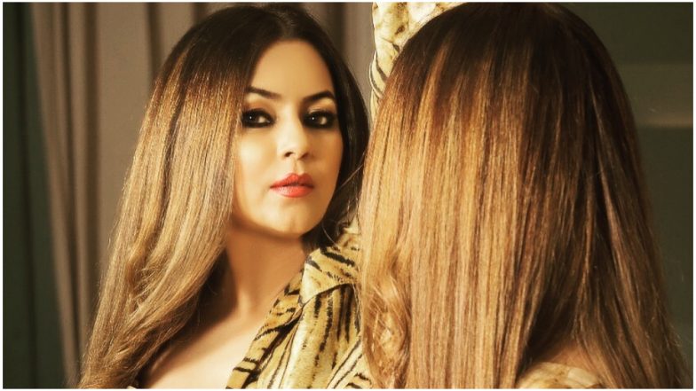 Mahima Chaudhry Birthday Special: 5 Songs Featuring the Actress, Aksar Hamesha Jo Yaad Aate Hain