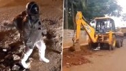 Bengaluru Fake Moonwalk Video Over Potholes Helps Get Roads Fixed! BBMP Responds to Viral Clip by Beginning Construction