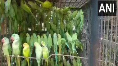 West Bengal: Two Men Held for Smuggling Birds, 524 Parrots Recovered