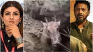 Nilgai Buried Alive: Raveena Tandon, Onir Outrage Over the Horrific Video Showing Animal Cruelty