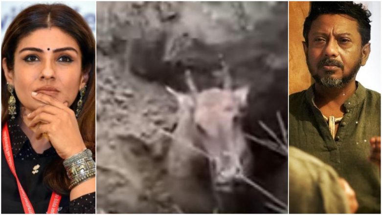 Raveena Tandon Sex Photo - Nilgai Buried Alive: Raveena Tandon, Onir Outrage Over the Horrific Video  Showing Animal Cruelty | ðŸŽ¥ LatestLY