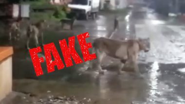 Fact Check: Truth About Viral Video Being Circulated on WhatsApp as Lions Roaming in Thane Godhbunder Road