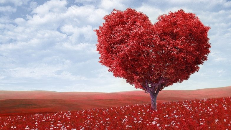 World Heart Day 2019 Date and Theme: Know More About the Day Dedicated to Cardiovascular Disease Awareness