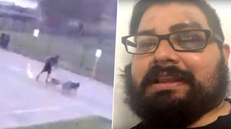 Watch Viral Video: Texas Man Miraculously Survives Lightning Strike While Walking His Dogs Watch Viral Video: Texas Man Miraculously Survives Lightning Strike While Walking His Dogs