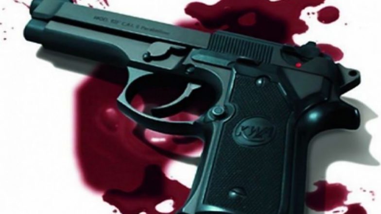 Jammu And Kashmir: Apple Truck Driver Killed in Anantnag District by Terrorists; Fourth Attack Within Two Weeks