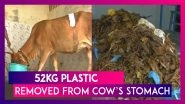 Tamil Nadu  52kg Plastic Removed From Cow's Stomach In Chennai