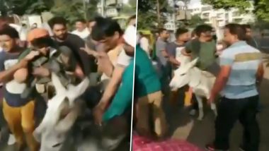 Rajasthan: BSP Workers Parade Party Leaders on Donkeys, Blacken Their Faces For Involvement in Anti-Party Activities (Watch Video)