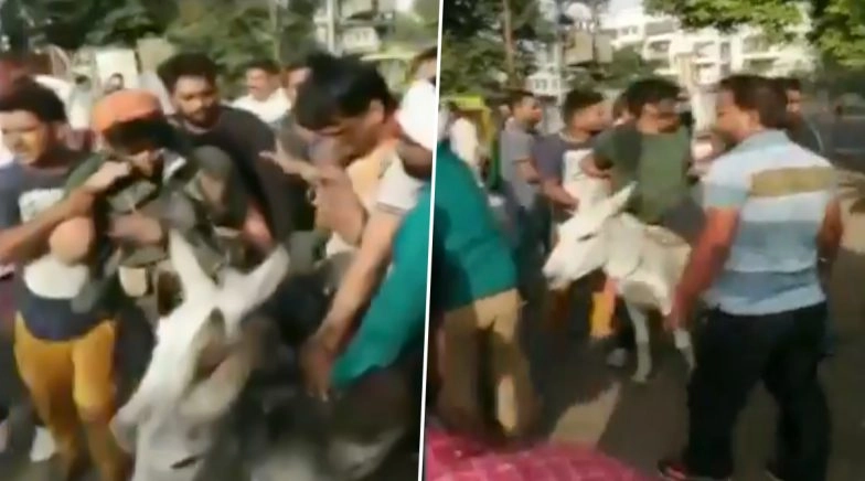 Rajasthan: BSP Workers Blackened Faces, Paraded Party Leaders on Donkey