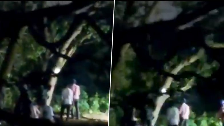 Aarey Tree Cutting: Video Shows Authorities Starts Chopping Down Trees Hours After Bombay High Court Dismisses Petition, Twitterati Cries Foul