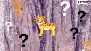 Amur Leopard Hides in Plain Sight in This Viral Pic, Can You Spot It? (View Pic)