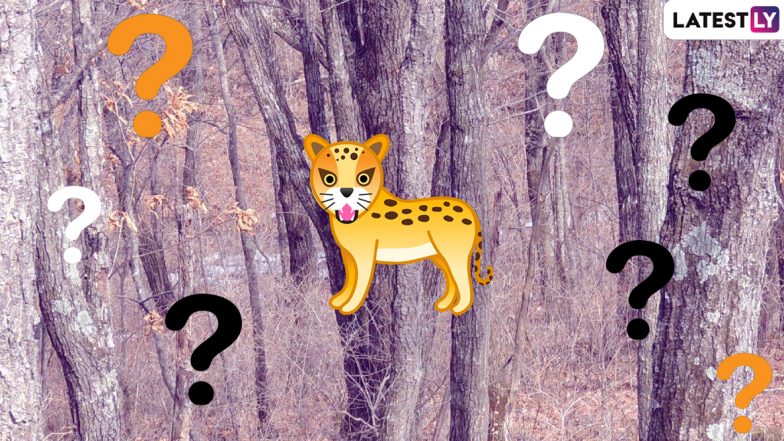 Amur Leopard Hides in Plain Sight in This Viral Pic, Can You Spot It? (View Pic)