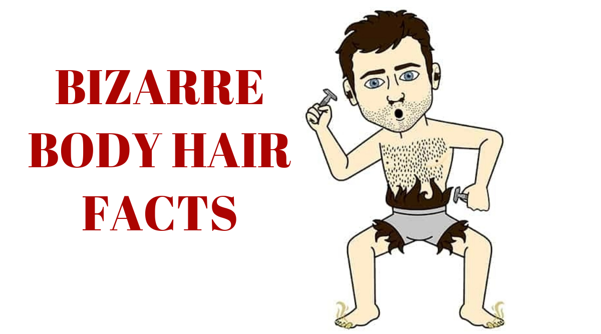 Bizarre Facts about Body Hair We Bet You Did Not Know! | 🍏 LatestLY