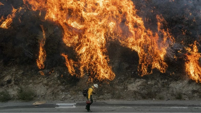 California Wildfires: Governor Gavin Newsom Declares Emergency for Sonoma and Los Angeles Counties