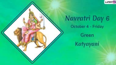 Navratri 2019 Day 6 Colour and Goddess: Worship Devi Katyayani, the Sixth Avatar of Maa Durga This Sharad Navaratri