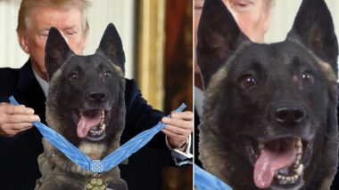 Donald Trump Tweets Photoshopped Pic of ISIS Raid Dog Conan Getting Felicitated By Him, Receives Mixed Reactions!