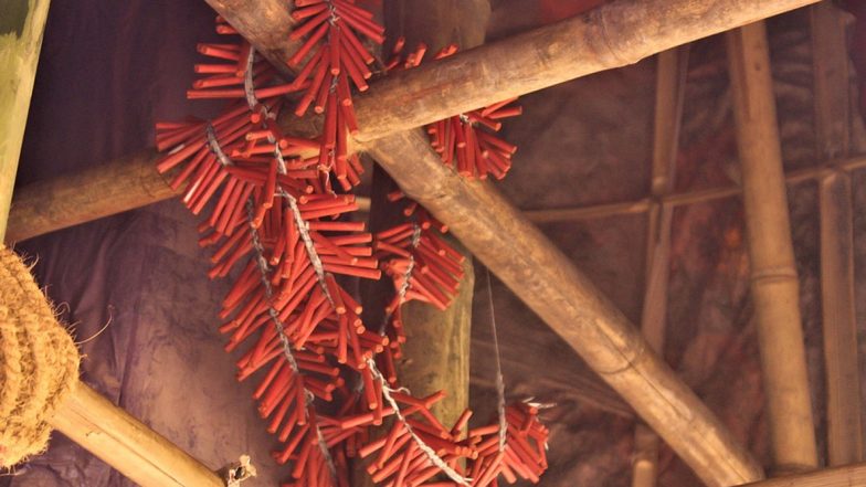 Diwali 2020: Delhi Police Suspend All Licenses Issued For Sale of Firecrackers. Seize 593 kg of Illegal Crackers