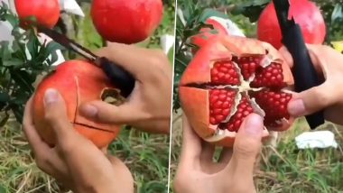 This Pomegranate Peeling Hack Video Will Make You Wonder If Your Whole Life is a Lie! Check Funny Memes and Jokes