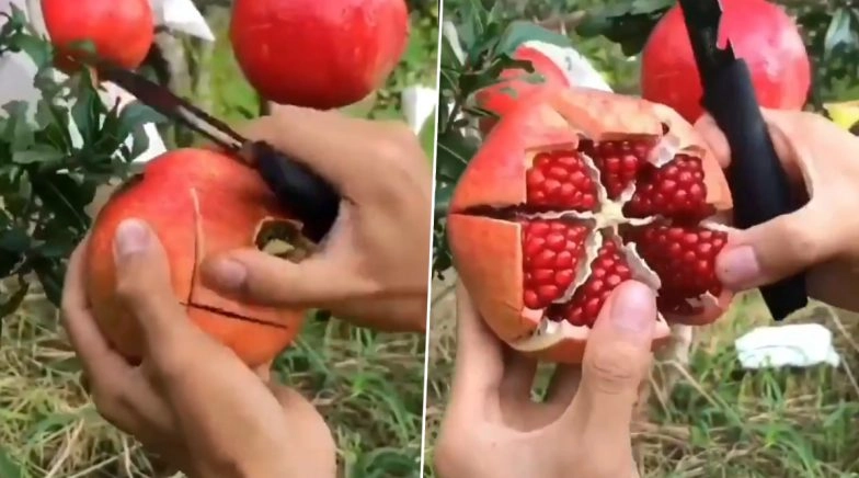 This Viral Pomegranate Peeling Hack Video