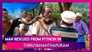 Scary! Man Rescued From Python By Locals In Thiruvananthapuram