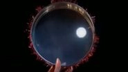 Moonrise Timing for Karwa Chauth 2019 in Bengaluru: When Will Karva Chauth Chandrama be Seen on October 17 in The Karnataka Capital?