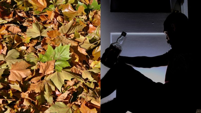 Drunk Man Jailed For Trying to Have Sex With a Pile of Leaves at Manchester Hotel Car Park