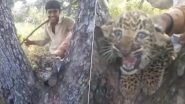 Men Harass Leopard Cub Near Gir Forest, Netizens Share Shocking Video Looking For The Culprits