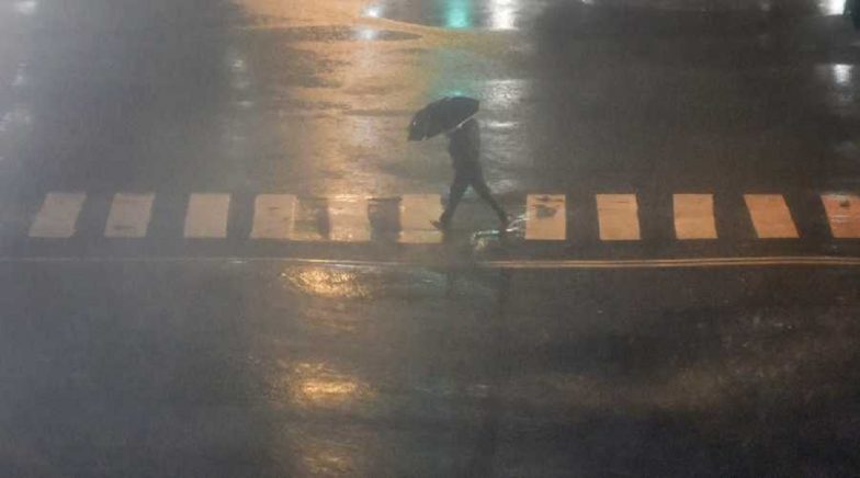 Mumbaikars Shocked With Heavy Rainfall Combined With Gusty Winds in Navi Mumbai, Thane, Kalyan