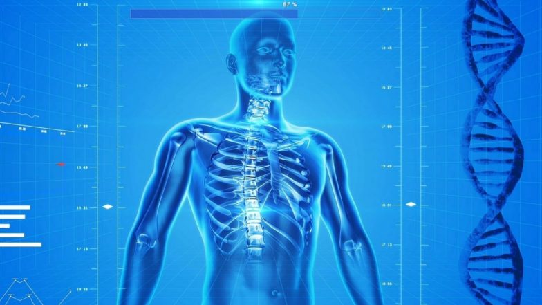 World Osteoporosis Day 2019: Symptoms, Causes, Treatment, and Prevention of the Bone Disease