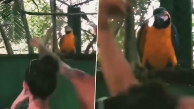 Kill Mid-Week Blues! This Parrot Head-Banging to DJ Music Is the Best Thing You Will See Today