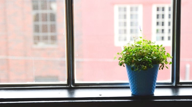 Five Eco-Friendly Activities To Do On World Environment Day