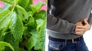 Home Remedy Of The Week: Pudina For Acidity and Heartburn; How Mint Leaves Can Cure Gas and Indigestion