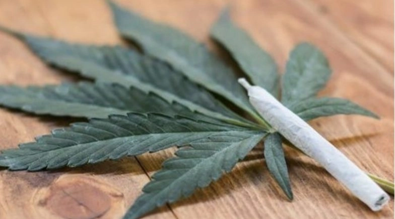 Surprising Things Smoking Weed Does To Your Body