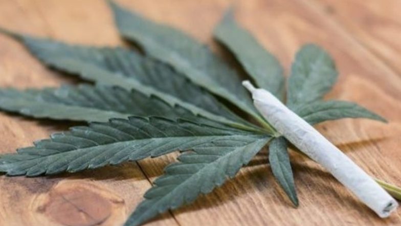 Effects of Marijuana Use: What Happens To Your Body When You Smoke Weed?