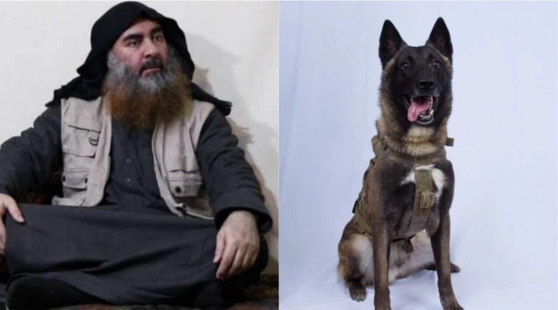 Abu Bakr al-Baghdadi Killing: Donald Trump Shares Picture of Dog Injured in US Raid