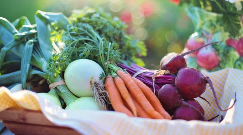 Here’s How Going Vegetarian Will Save You and The World