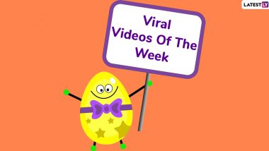 Viral Videos Of The Week: PM Narendra Modi Plogging at Mahabalipuram Beach to Monkey Giving Cop a Head Massage; Check Out Clips That Demanded Attention!