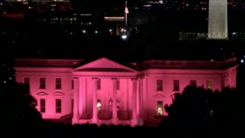 US Independence Day 2021: White House Marks Fourth of July Holiday with Party