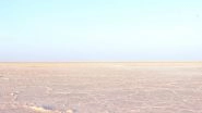 Travel Tip of the Week: Rann Utsav 2019 to Usher Tourists to Gujarat, All You Need to Know About White Desert Festival of India