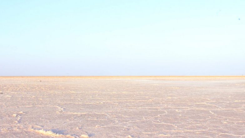 Travel Tip of the Week: Rann Utsav 2019 to Usher Tourists to Gujarat, All You Need to Know About White Desert Festival of India