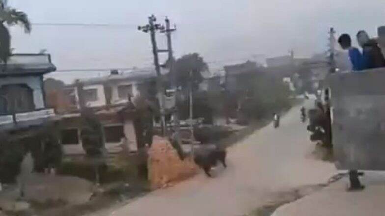 Man Vs Wild: Angry 1000-kg Rhino Chases Two Bikers, Viral Video Scares Netizens Man Vs Wild: Angry 1000-kg Rhino Chases Two Bikers, Viral Video Scares Netizens
