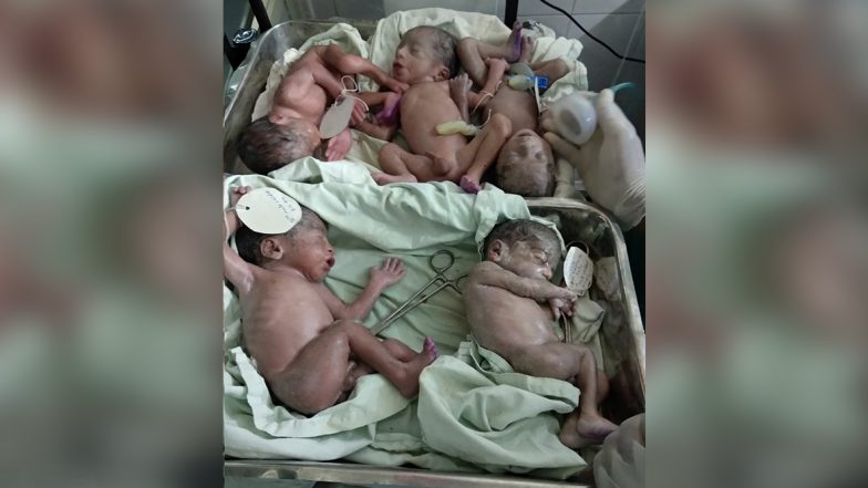 Woman Gives Birth to Premature Quintuplets in Jaipur; Here's All About Rare Case of Multiple Births in Humans