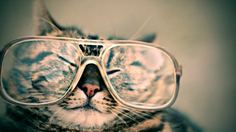 World Sight Day 2019: Date and Significance of the Day Dedicated to Preventing Blindness