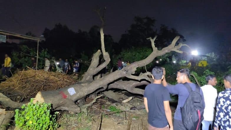 Aarey Tree Felling: 2,141 Trees Axed So Far, Will Stop Land Clearance Till Supreme Court Decides, Says Mumbai Metro Rail Corp Aarey Tree Felling: 2,141 Trees Axed So Far, Will Stop Land Clearance Till Supreme Court Decides, Says Mumbai Metro Rail Corp