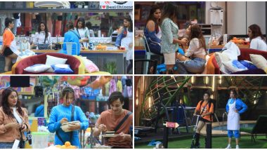 Bigg Boss 13 Day 31 Synopsis: Bigg Boss house to get its two finalists tonight!