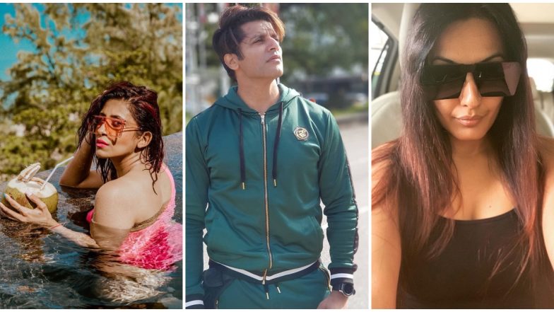 Bigg Boss 13: Karanvir Bohra, Kamya Punjabi, Kishwer Merchantt, Ex-Contestants SLAM The Current Season