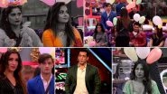 Bigg Boss 13 Preview: Shefali Bagga Calls Sidharth Shukla &lsquo;Bloody Fool&rsquo; in the Weekend Ka Vaar Task (Watch Video)